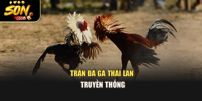 Trận đá gà lan truyền thống
